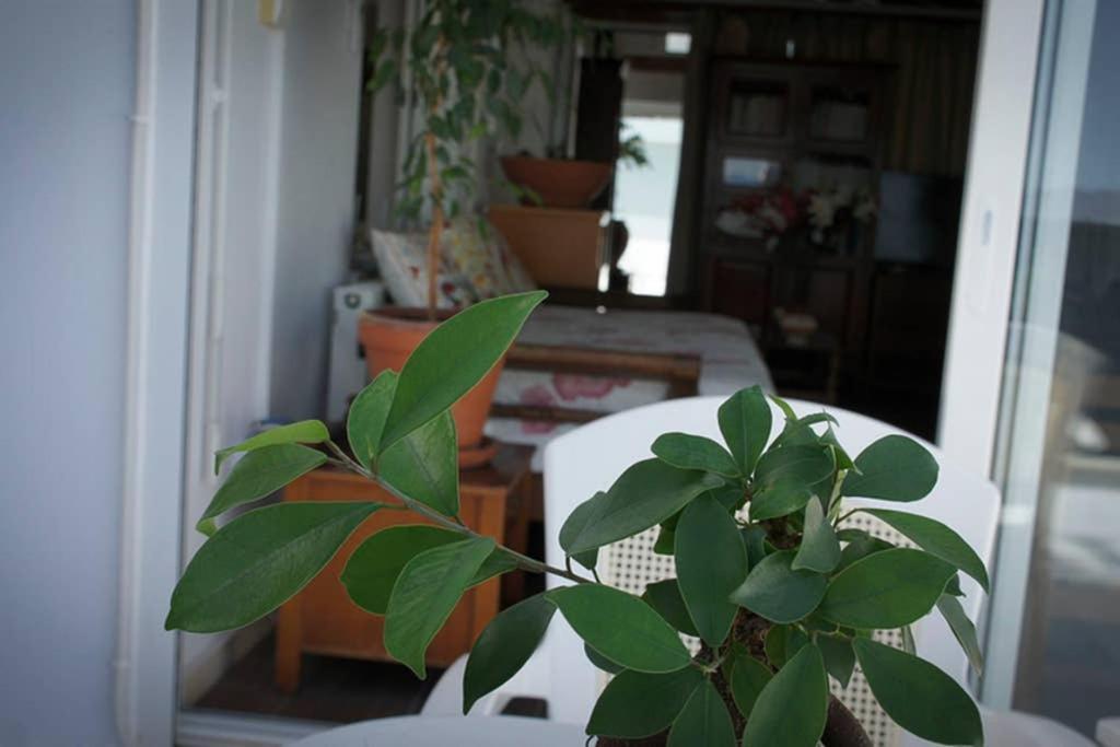 Stavros Amazing Apartment In The Centre Of Kos Εξωτερικό φωτογραφία